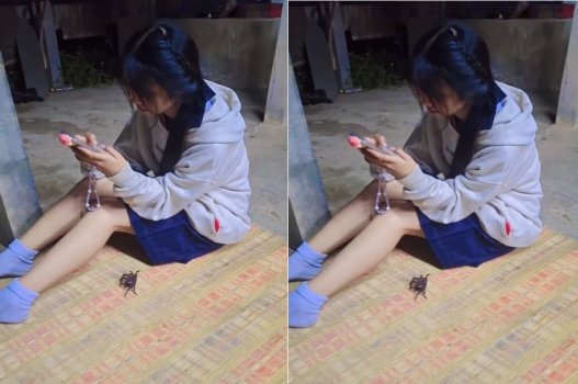 phim sex loclip Đứng quay phim xem vợ dâm được trai thụ tinh